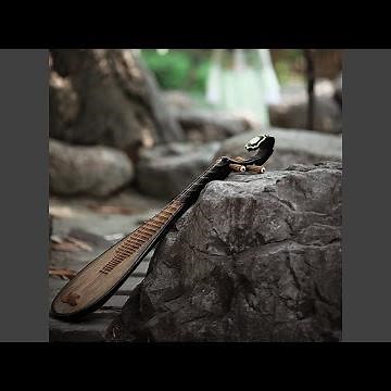 金蛇狂舞 (琵琶独奏版)