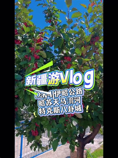 暑假新疆游Vlog:Day4|伊昭公路-昭苏天马淯河-特克斯八卦城！#新疆旅游 #伊昭公路 #天马淯河 #特克斯八卦城