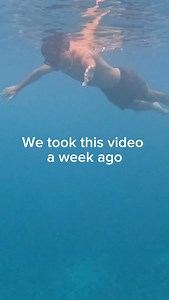 Any marine biologists in the house? We'd like to know what animal makes the sound you can hear in this video. Let us know in the comments or send us a message. Whatever it is, it's exciting! 🤩 #whales #marinebiology #whalesounds | Aloha Paddleboard & Surf Club