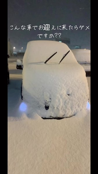 セレナライダーの魅力とカスタマイズ