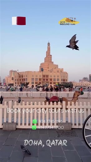 Doha City Tour