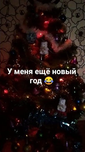 16 лютого 2026 р.