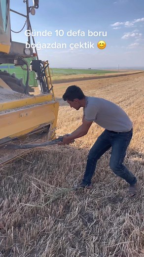 Efficient Hay Harvesting Techniques in Agriculture