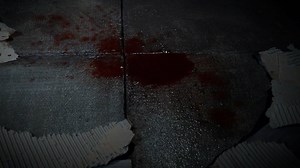 mise-en-scene.FionaIovannone