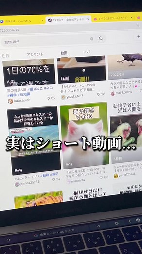 AIツールは受け取る方法は最後に...🤫 #ai活用 #チャットgpt #収益化 #tiktok収益化