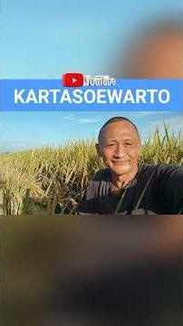 SETANGKAI BUNGA PADI Ku Selipkan Di Rambut Mu