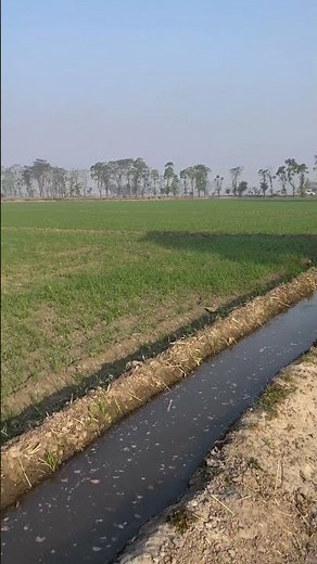 farmer life #babifreitas @SonuBishnoiOnWheels