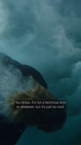 30K views · 238 reactions | Trent Mitchell first visited Lord Howe...