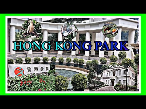 HONG KONG PARK is a Top urban Oasis in Central
