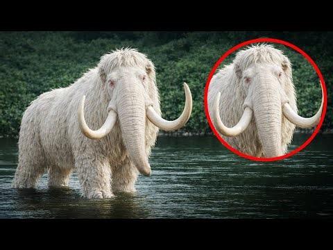 WE MADE A MISTAKE : 6 Extinct Animals Coming Back to Life (2026)