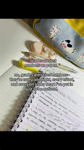 "GRADES ARE JUST NUMBERS ON PAPER" | Junelyn Ortega
