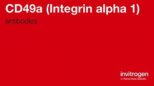 CD49a (Integrin alpha 1) antibodies from Thermo Fisher Scientific