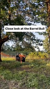1.5K views · 17 reactions | Who needs a rodeo when you’ve got a barrel and a little creativity?  This DIY bucking bull is backyard brilliance at its finest, you will have a PBR prodigy in no time! Awesome video and project coming from Looking to make your own? Check out our inventory of 55 Gallon Barrels here: https://www.repurposedmaterialsinc.com/metal-barrels/55-gallon-metal-bung-barrel-non-food-grade/ | repurposed MATERIALS | Facebook