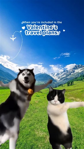 Akasa Air on Instagram: "Valentine’s plans feel better when no one you love is left behind. 🐾❤️ With Pets on Akasa, travel with your furry friends in the cabin or carry them in the cargo compartment (pets up to 100 kgs travel safely in our secure cargo hold). Also, enjoy a host of complimentary value-added services when you fly with your pets: - Prebooked window seat - Akasa Priority (priority check-in, boarding and baggage) To book, contact our 24 x 7 Akasa Call Centre on +91 9606 11 21 31 or 