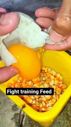 #aseelmurga #training# bestfeed #youtubeshorts