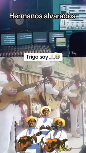 Cuándo escucharon por la radios en las mañanas por sus padres o abuelos de los🇲🇽 hermanos alvarados con este tema - trigo Soy. Los Hermanos Alvarado, Grupo Mexicano, su genero es Musica Cristiana, cantan los Himnos Clasicos como por ejemplo: Rostro Divino. El Trigo, Mi Ultima Jornada. | Evangelista Rusbel Sellado Espinoza