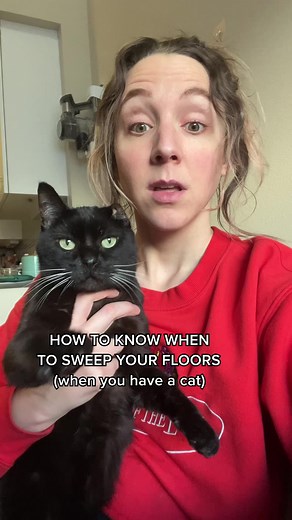 918K views · 17K reactions | when I see my cat sweeping my floors for me, I know it’s time to clean  | One eared uno | Facebook