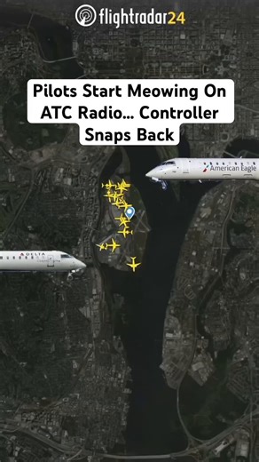 Delta and American Airlines CRJ pilots at Ronald Reagan Washington National Airport are going viral after an ATC clip caught them making "meow," "ruff," and other animal sounds over the radio, but the controller wasn't having it. In the audio, ATC quickly shuts it down, telling them to act like "professional pilots."📹: Flight Fantasy Simulator