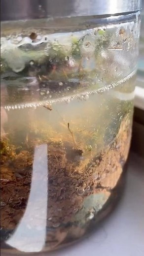 We Built Our Own Ecosystem