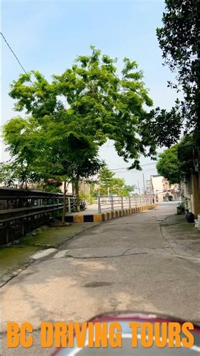 Driving around and admiring the streets in Asian alleyways #shorts #driving #streetdriving #drive