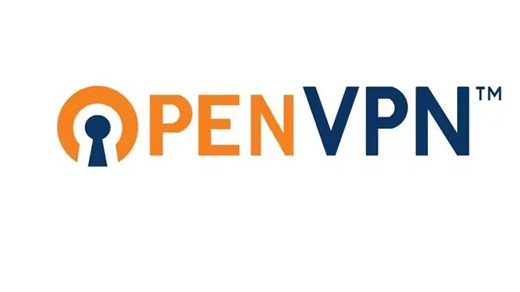 B站最细致的OpenVPN 虚拟专用网络教学视频，从入门到实战