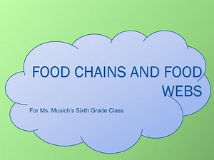 Food Chains and food webs - SlideServe