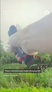 Man gets bitten by alligator after jumping in swamp to escape police