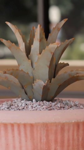 Transform your landscape into paradise with Desert Steel. Zero Maintenance, Lifelong Landscapes.