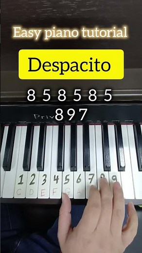 تعليم عزف بيانو بأسهل طريقة بالأرقام 🎶🎹 Despacito #piano #tutorial #pianolessons #pianotutorial