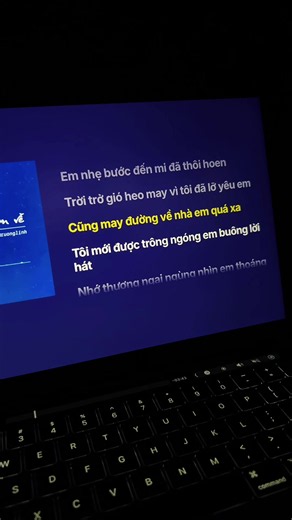 Đường Tôi Trở Em Về #buitruonglinh#duongtoichoemve#lyrics#viral#xh | lyric