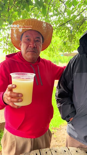 Expo Feria del Pulque 2026 en El Llano de los Negros – 26 abril