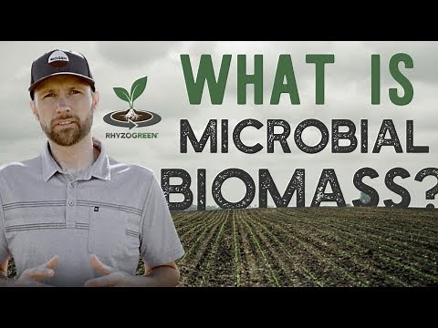 What is Microbial Biomass? (Plus, why it matters for you)