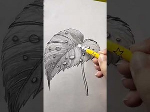 how to draw leaf | easy sketch for beginners - step by step | leaf dew drops
