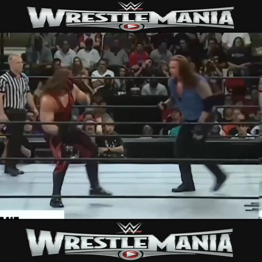 Undertaker vs. Kane WWE #fblifestyle | Lovelymimi 865