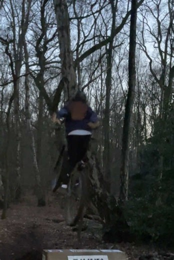 Mastering MTB Tricks: Progression with Whips