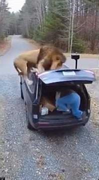 Crazy Animals Doing Gross but Funny Things 🤢😂 | Viral Animals Shorts#Animals #FunnyAnimals #Viral