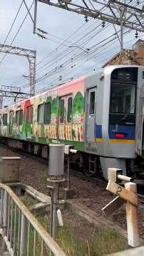 台湾魅力発見ラッピング