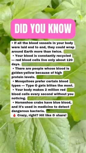 144K views · 2.2K reactions | Mind-Blowing BLOOD Facts That Don’t Sound Real 喝勞 #facts | Daily Brain T | Facebook