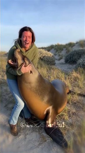 Seal Meets His Loving Human Again 💖