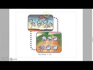 3-1-1 Oxygen and its compounds