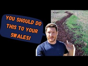 Make any swale WAY better with this technique!