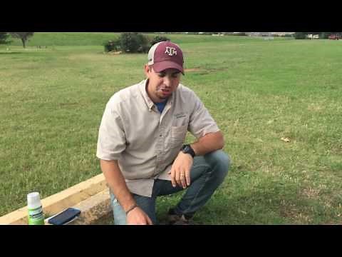 Get Rid Of Khaki Weeds-Smith's Gardentown Can Help