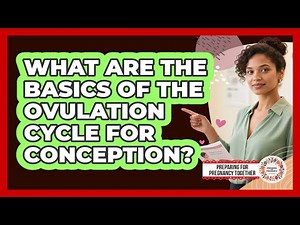 What Are The Basics Of The Ovulation Cycle For Conception? - Preparing for Pregnancy Together