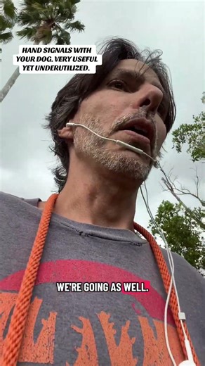 Using hand signals with our dogs