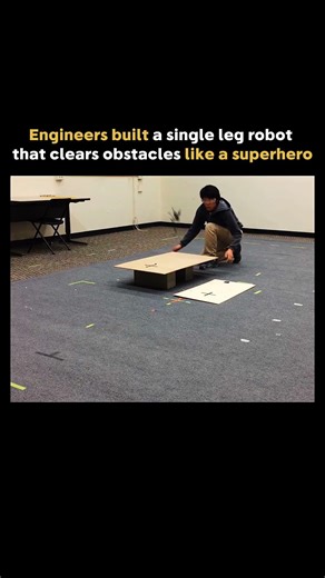 Jumping better than me..