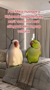 337K views · 7.6K reactions | Luxory Tippek | toplike.eu | Facebook