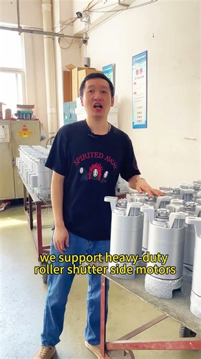 What heavy-duty roller shutter motors that you provide to manufacturers of roller shutter doors?