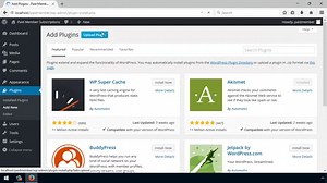 Top WordPress Membership Plugin: Paid Member Subscriptions