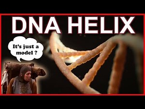 A problem of DNA HELIX - A Theoretical Model?