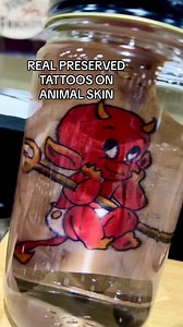 97K views · 1.6K reactions | Do you have anything like this in your oddities collection?  Oddities & Curiosities Expo | Oddities & Curiosities Expo | Facebook